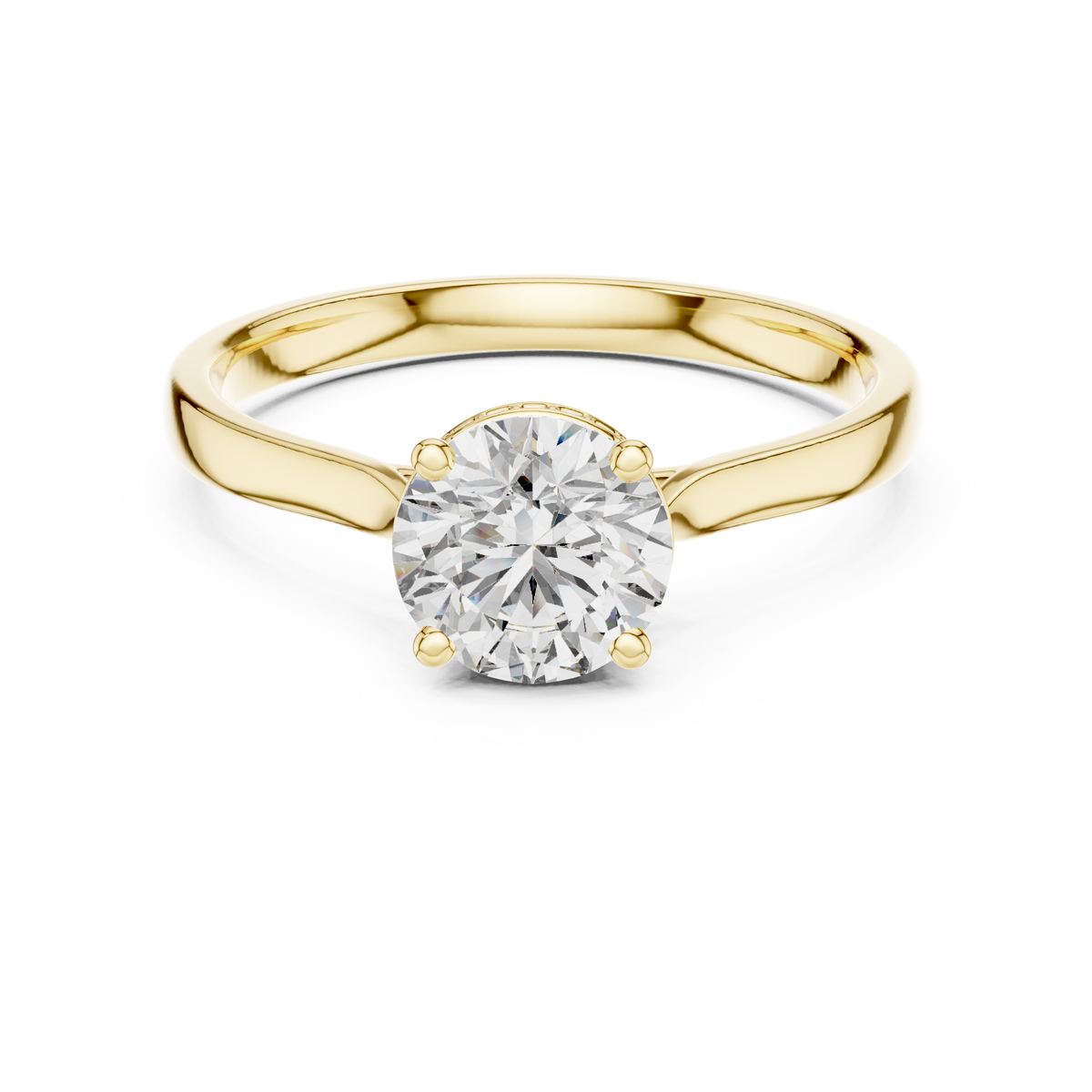 Savannah Round Brilliant Lab Grown Diamond Hidden Halo Solitaire Engagement Ring